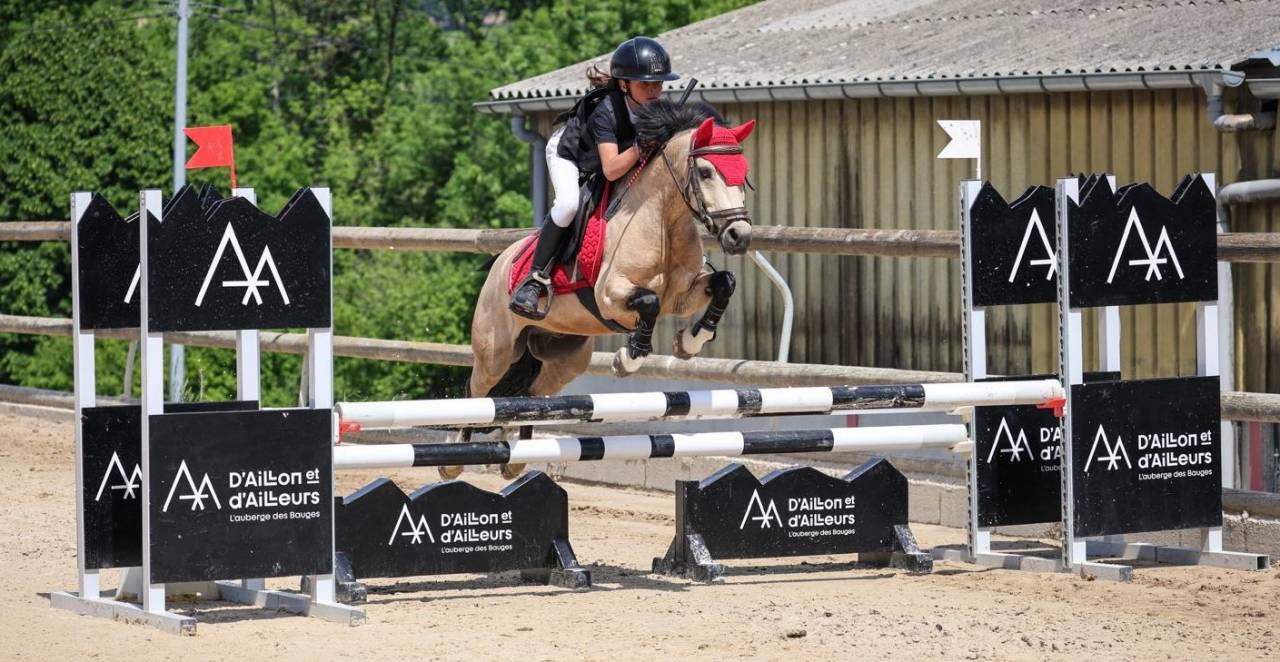 Caballo castrado PFS Poni Fran&ccedil;&eacute;s de Silla En venta 2017 Isabelo
