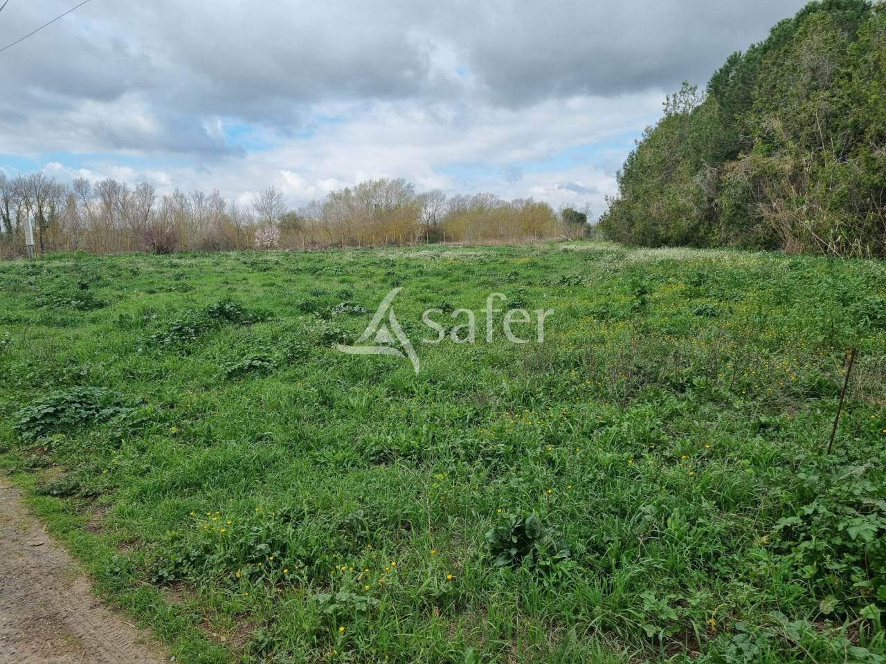 Propiedad ecuestre En venta H&eacute;rault