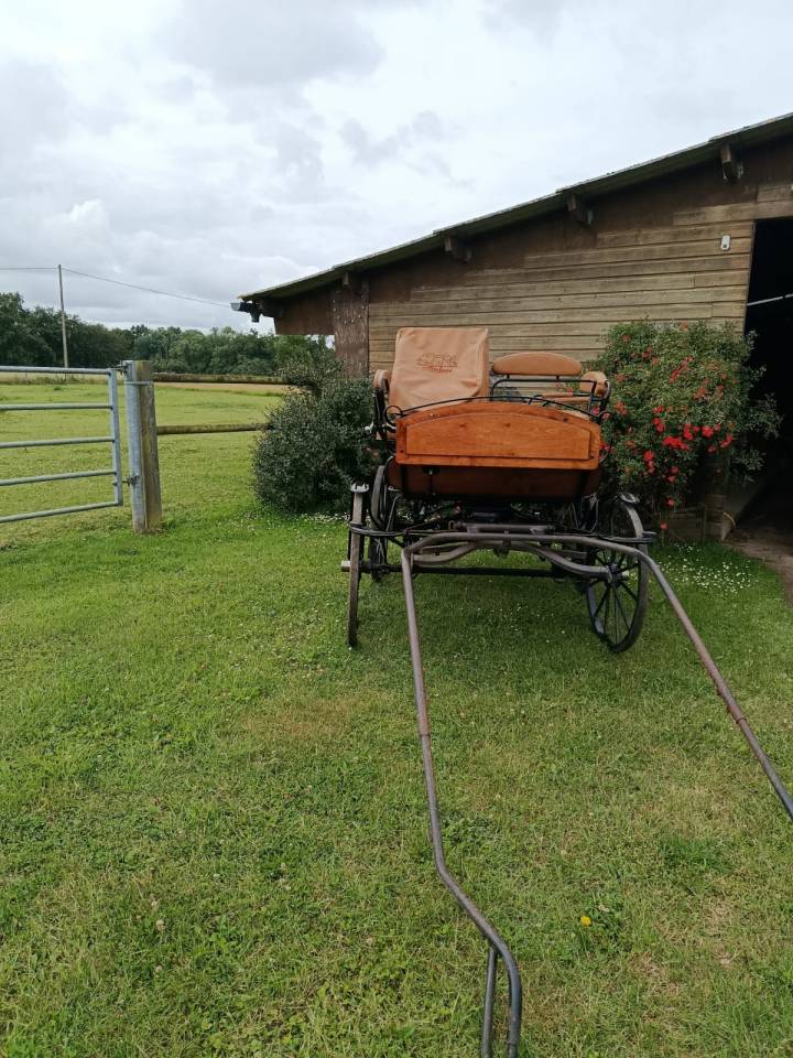 Coche enganches - Vagoneta - Otra marca - Wagonette loisir 