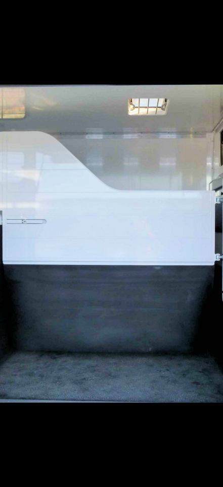 Furgoneta para caballos Fiat  Ducato 2025 De segunda mano