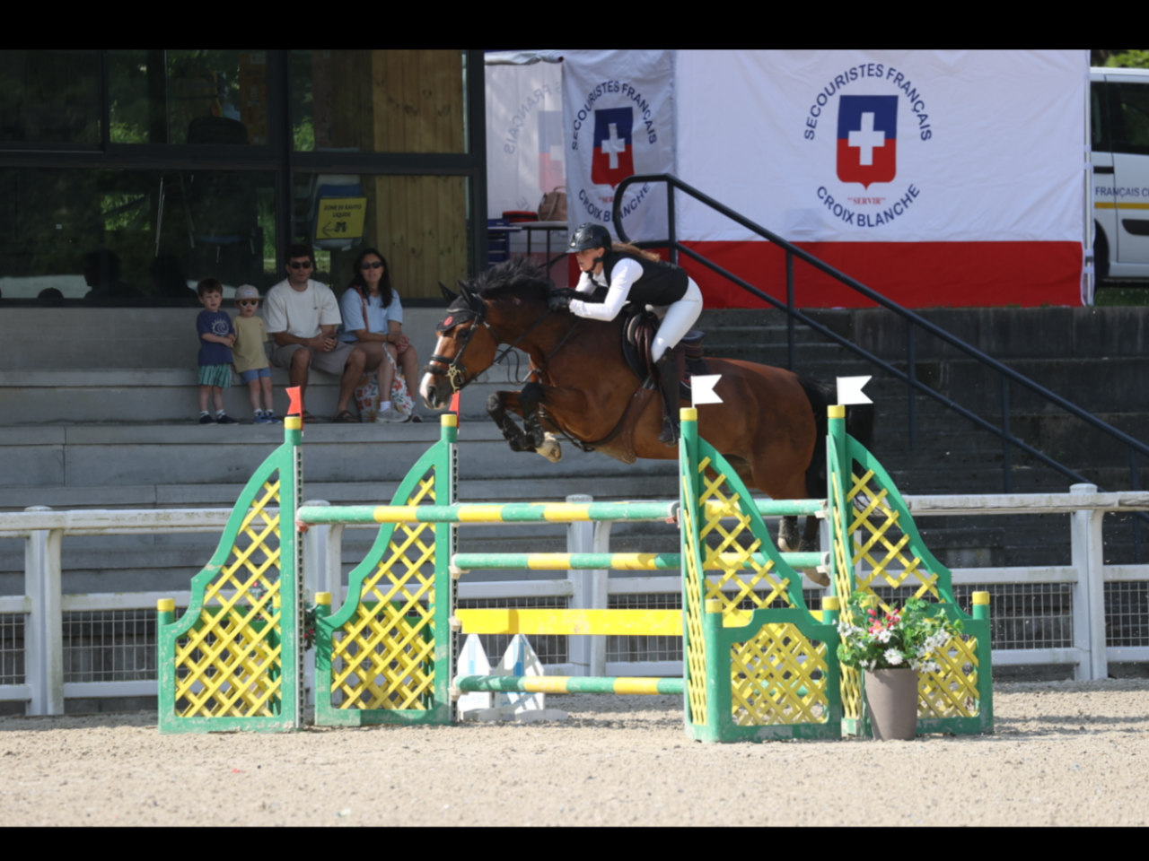 Yegua sBs Caballo de Deporte Belga En venta 2018 Bayo por Tzigano Mazu&egrave;re