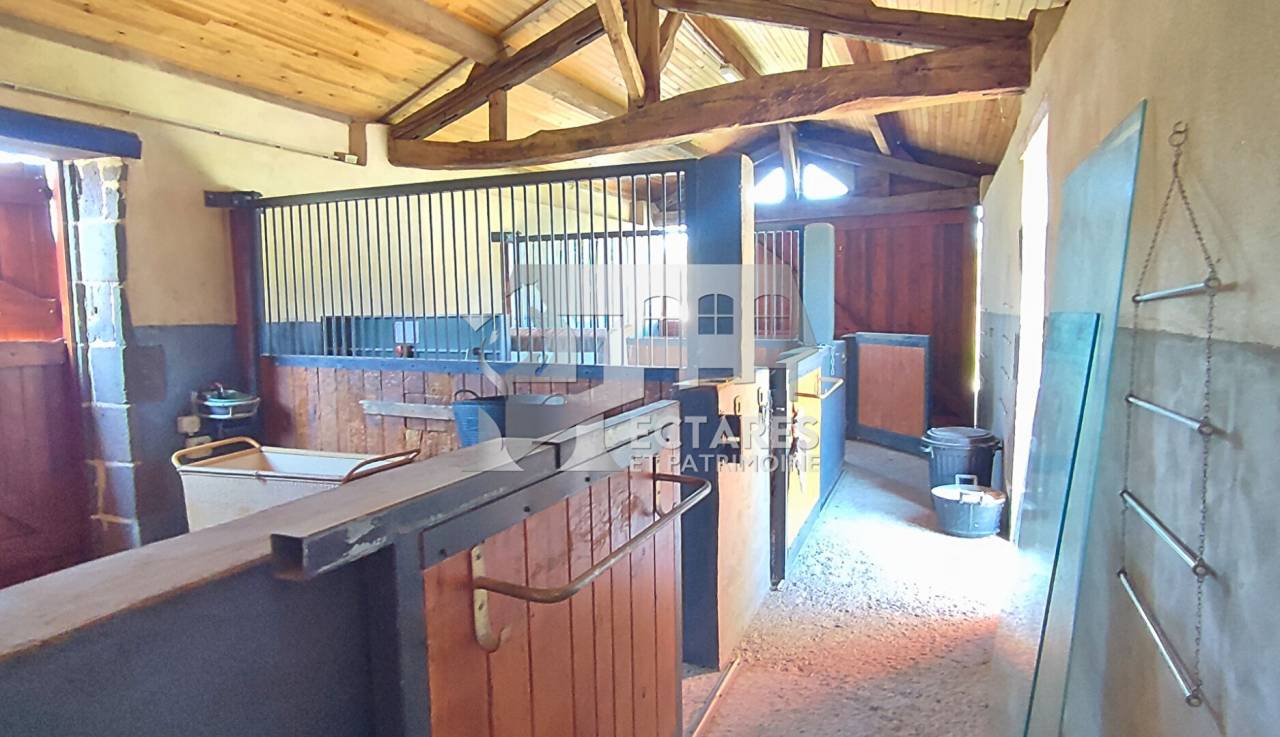 Albergue ecuestre En venta Puy-de-D&ocirc;me