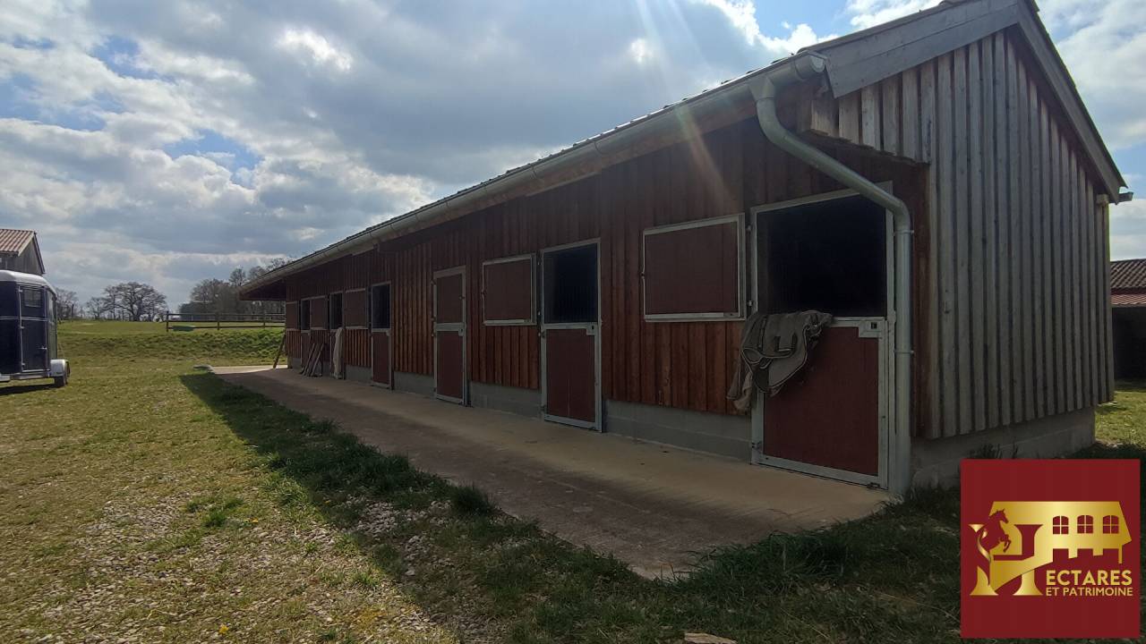 Propiedad ecuestre En venta Ain
