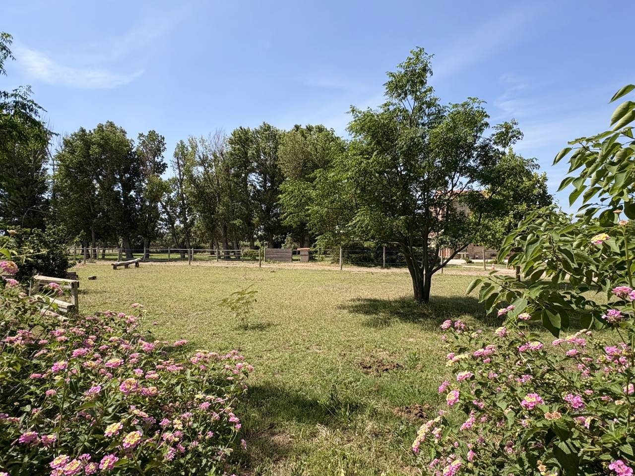 Propiedad ecuestre En venta Pirineos Orientales
