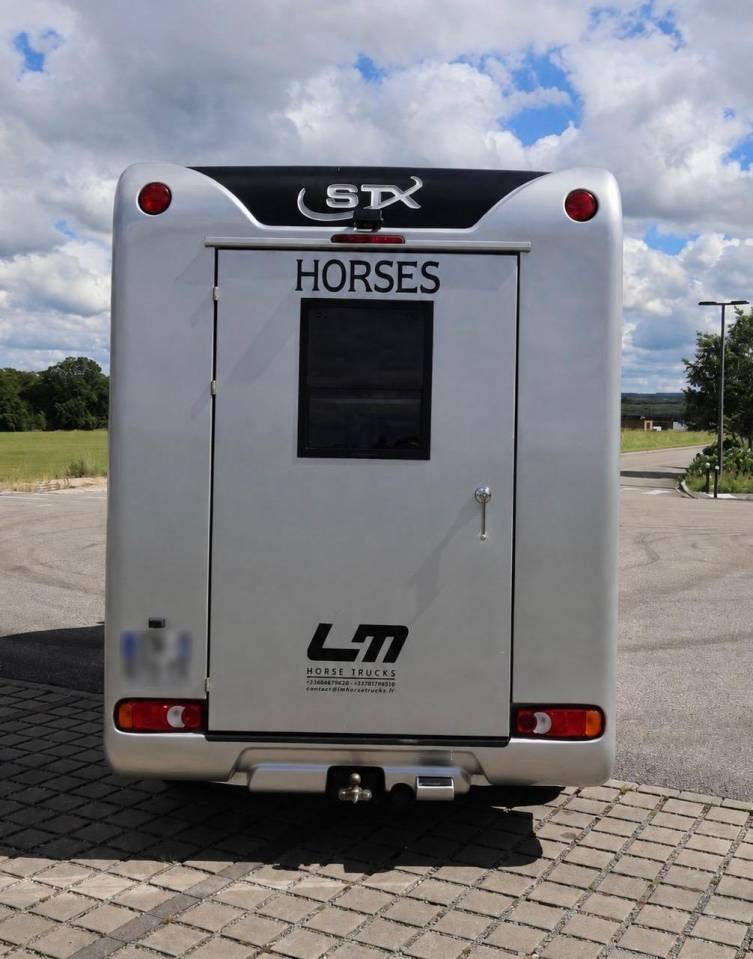 Furgoneta para caballos STX STX 2017 De segunda mano