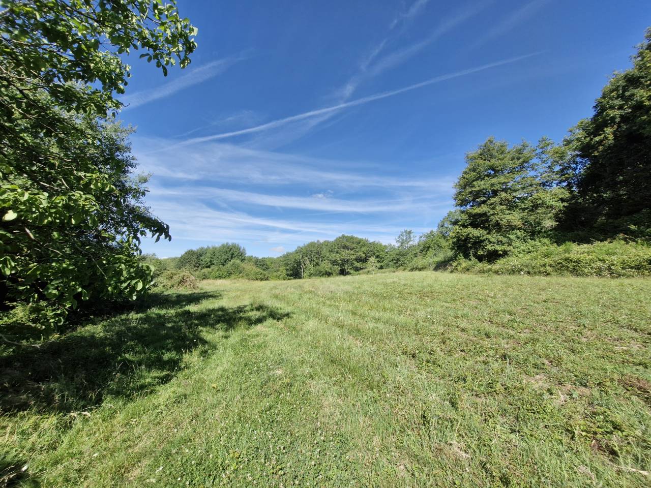 Propiedad ecuestre En venta Charente