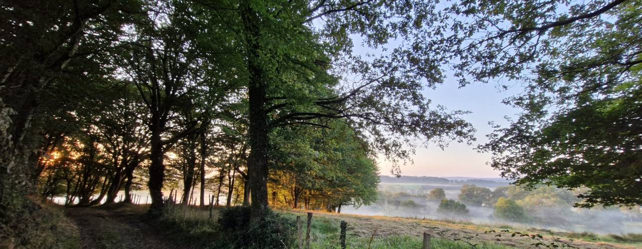 Propiedad ecuestre En venta Charente