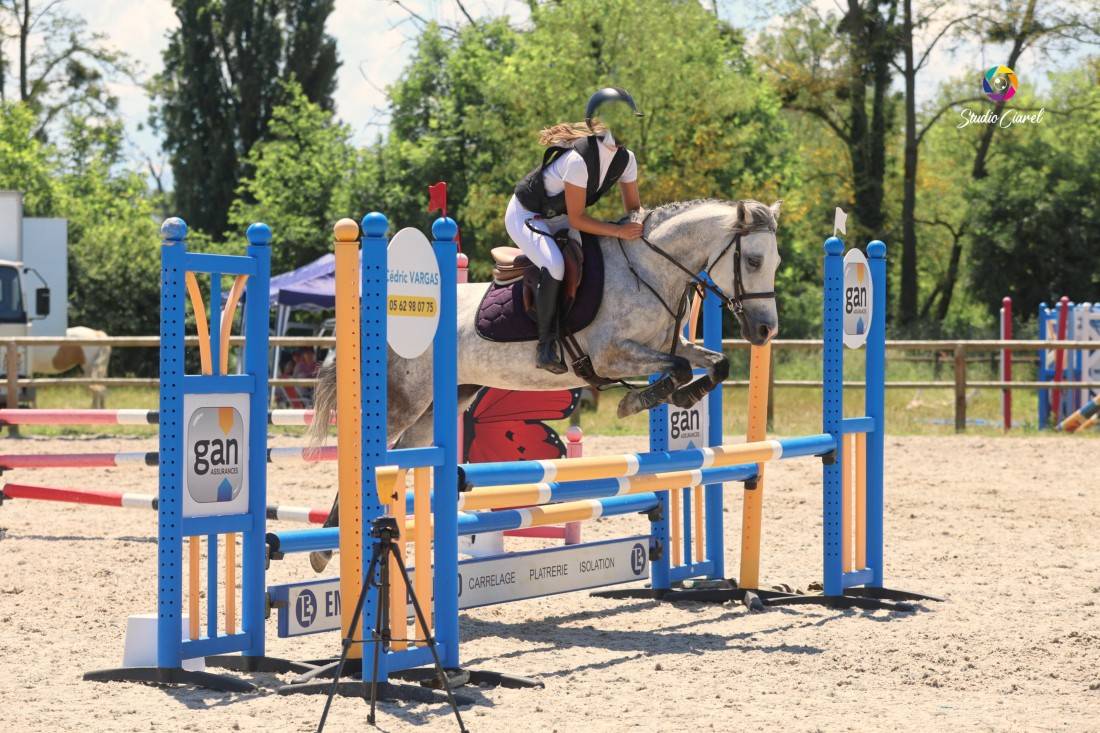 Yegua Origine Constat&eacute;e En venta 2019 Tordo por Fo'Reveur Du Jump