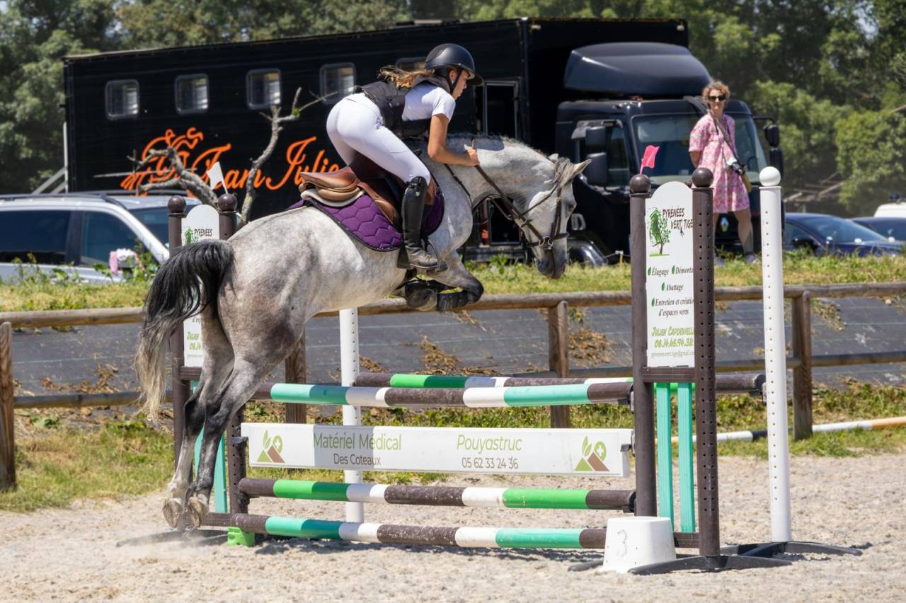 Yegua Origine Constat&eacute;e En venta 2019 Tordo por Fo'Reveur Du Jump
