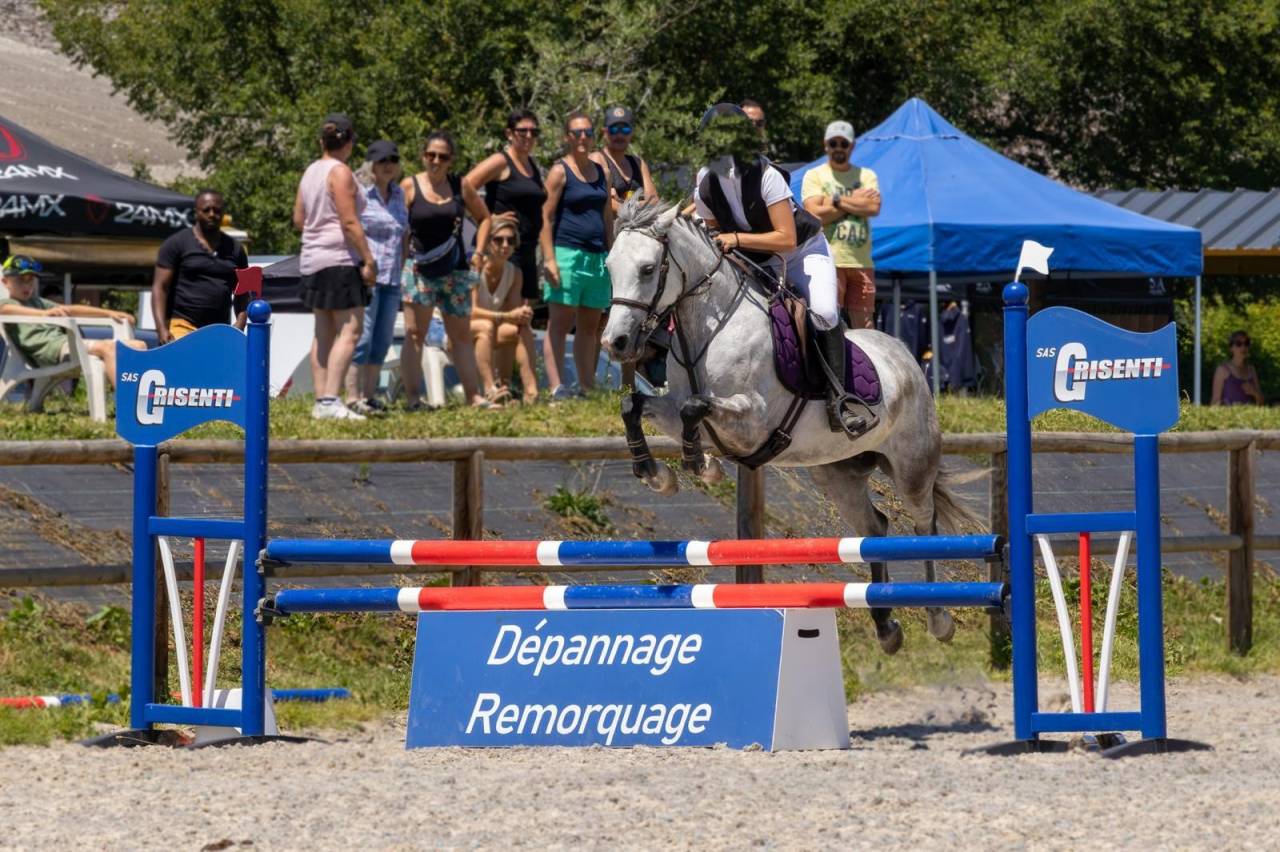 Yegua Origine Constat&eacute;e En venta 2019 Tordo por Fo'Reveur Du Jump