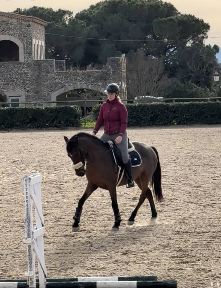 2021 Gelding (Spanish Sport Horse)
