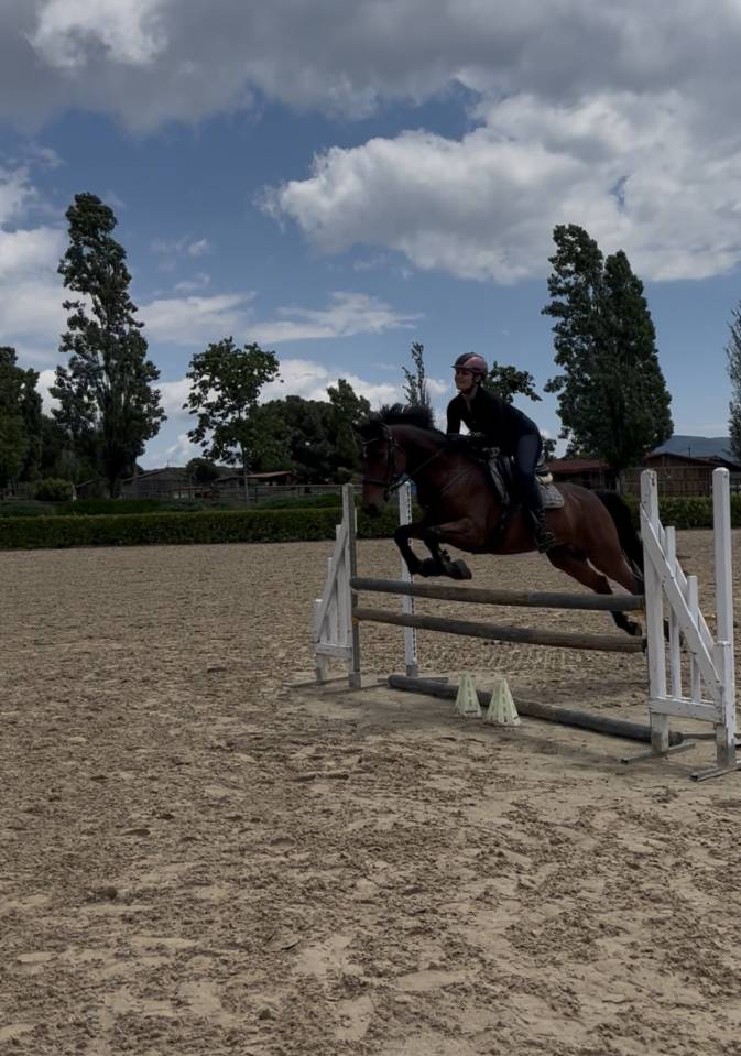 2021 Gelding (Spanish Sport Horse)