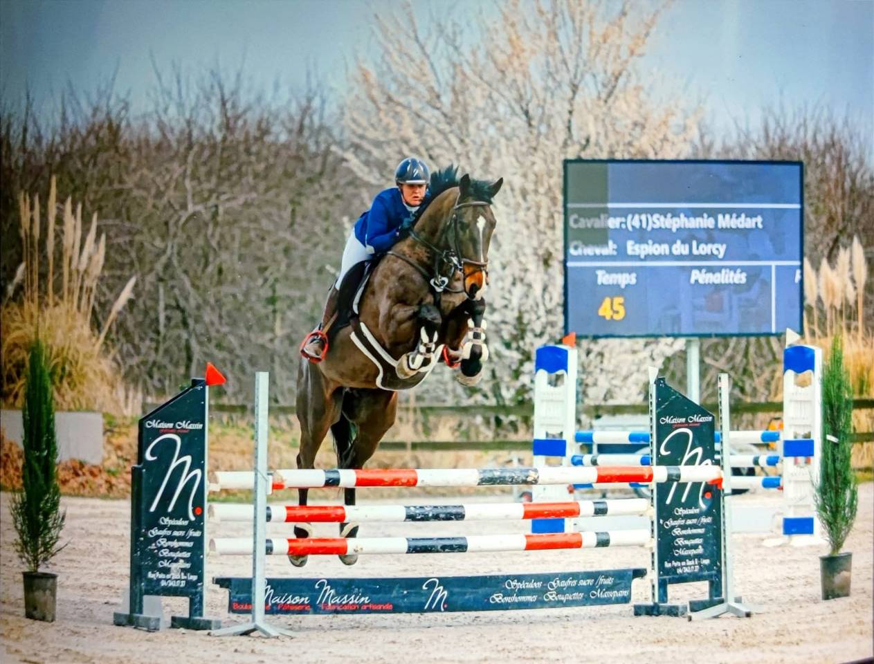 Caballo castrado KWPN Caballo de Deporte Neerland&eacute;s En venta 2015 Bayo por Caretino Gold