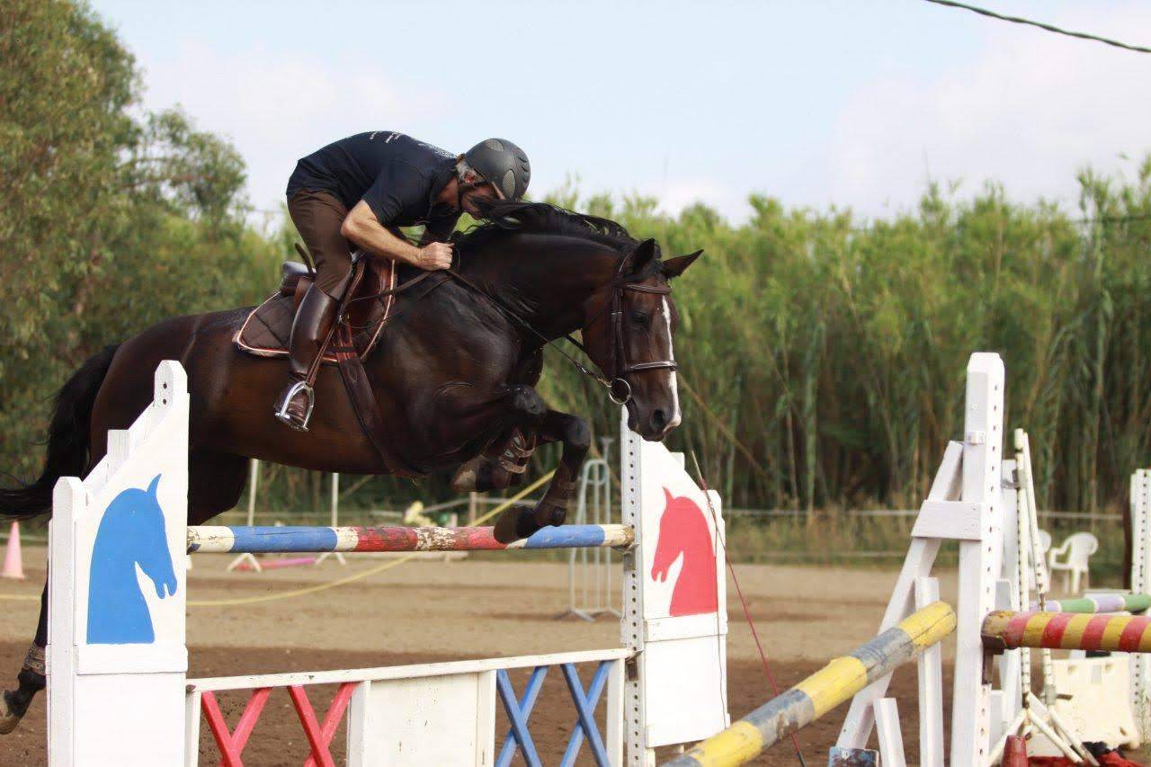 Yegua Silla Franc&eacute;s Donaci&oacute;n 2004 Bayo moreno por IDEM DE LAUME