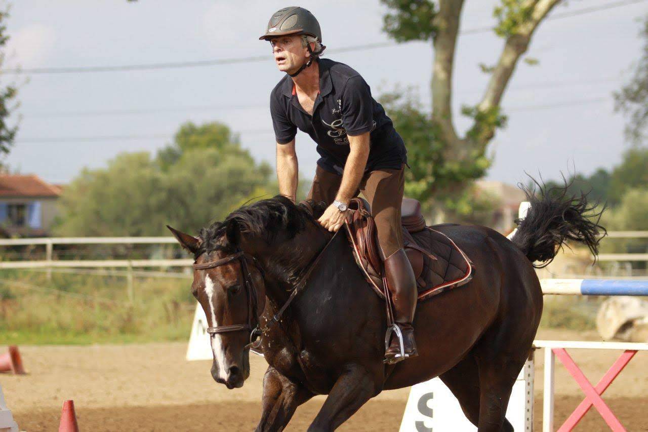 Yegua Silla Franc&eacute;s Donaci&oacute;n 2004 Bayo moreno por IDEM DE LAUME