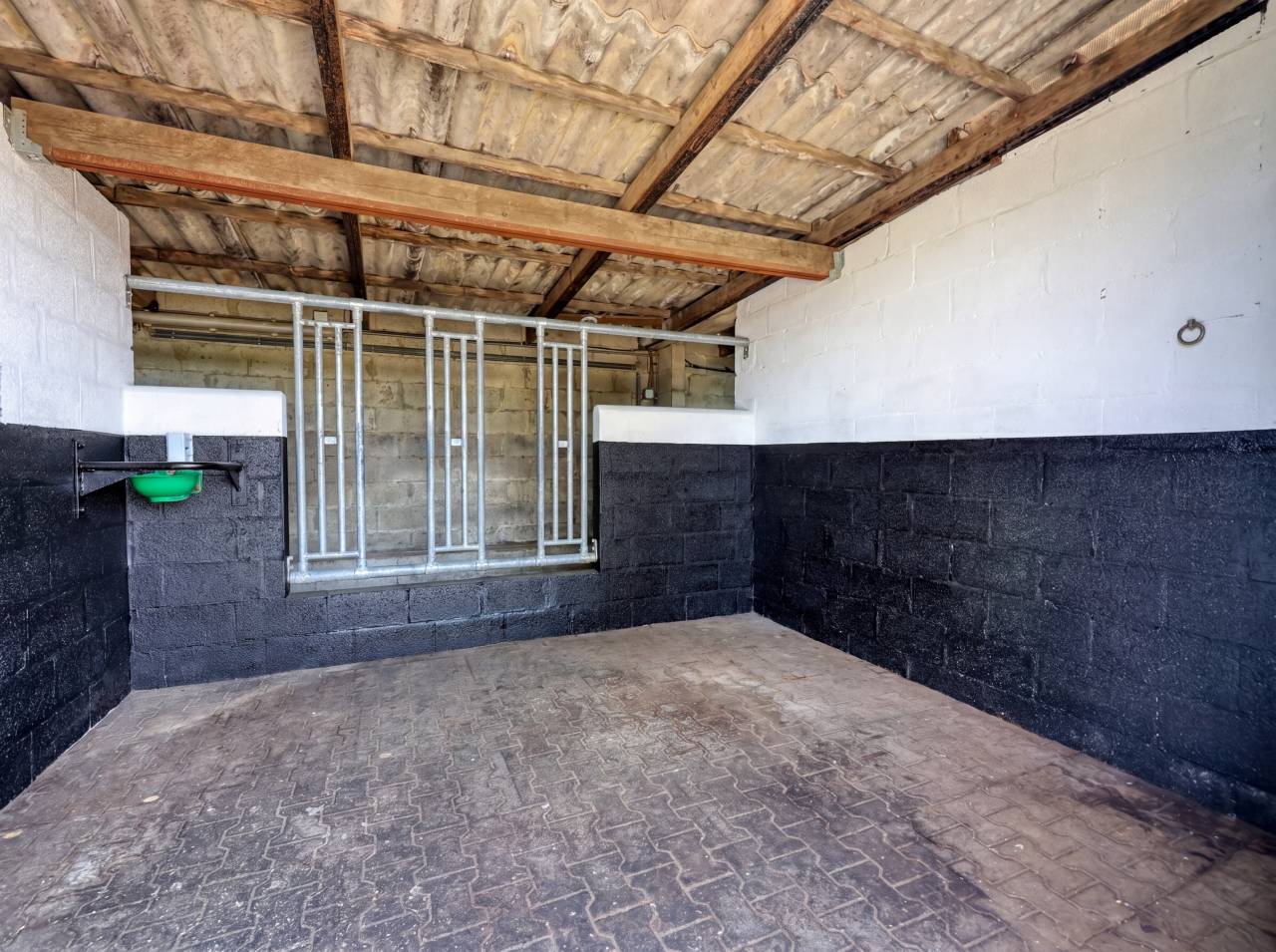 Propiedad ecuestre En venta Luxemburgo be