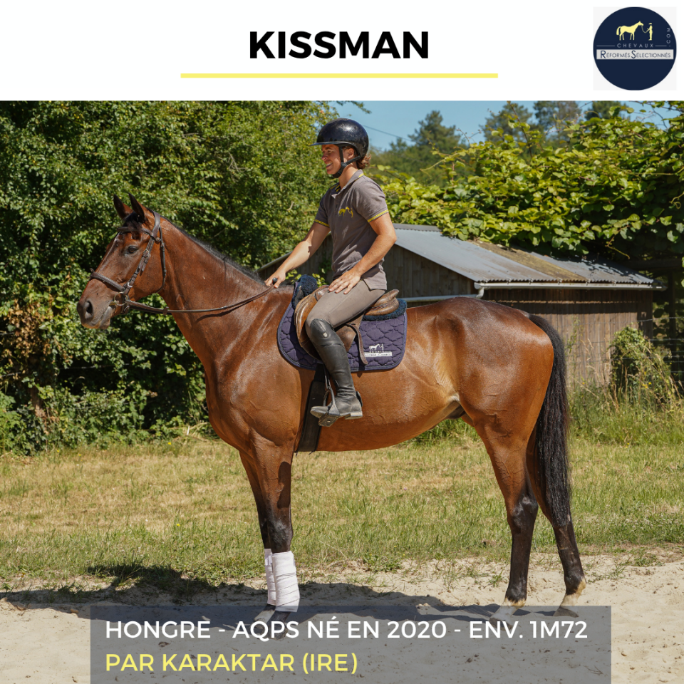 Caballo castrado AQPS En venta 2020 Bayo por KARAKTAR (IRE)