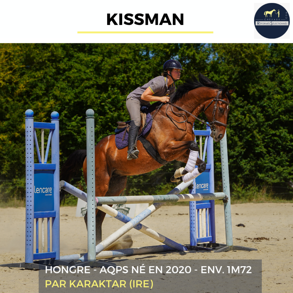 Caballo castrado AQPS En venta 2020 Bayo por KARAKTAR (IRE)