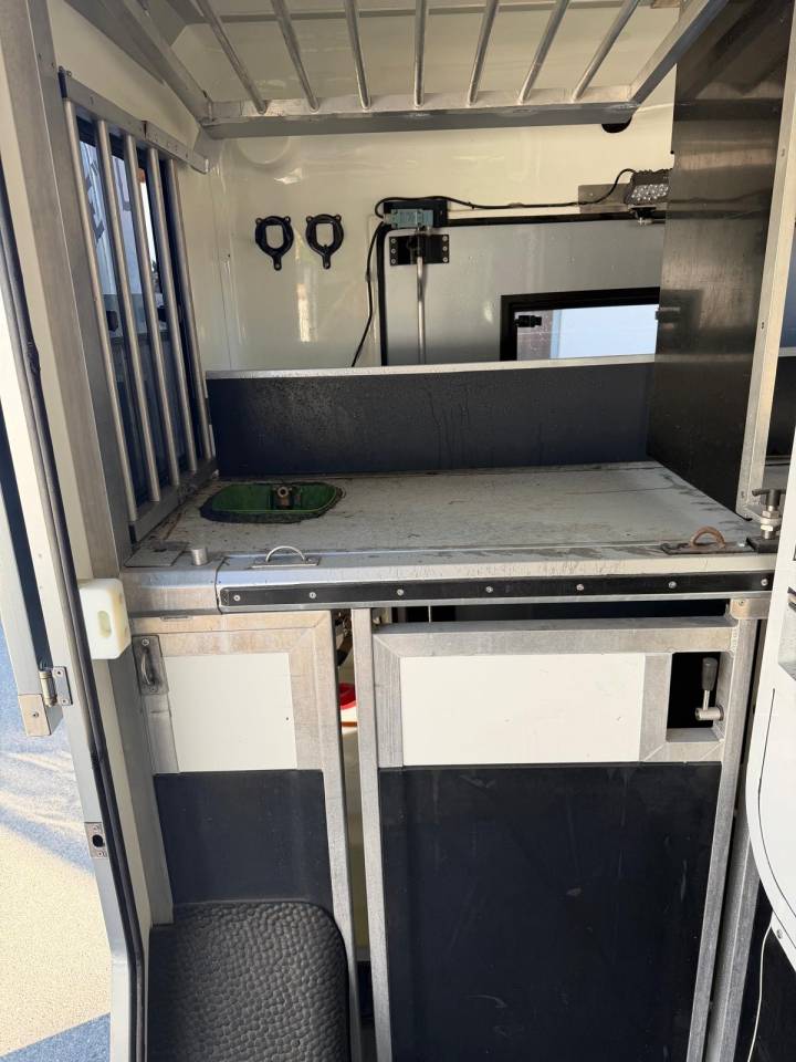 Furgoneta para caballos Renault Master 2017 De segunda mano
