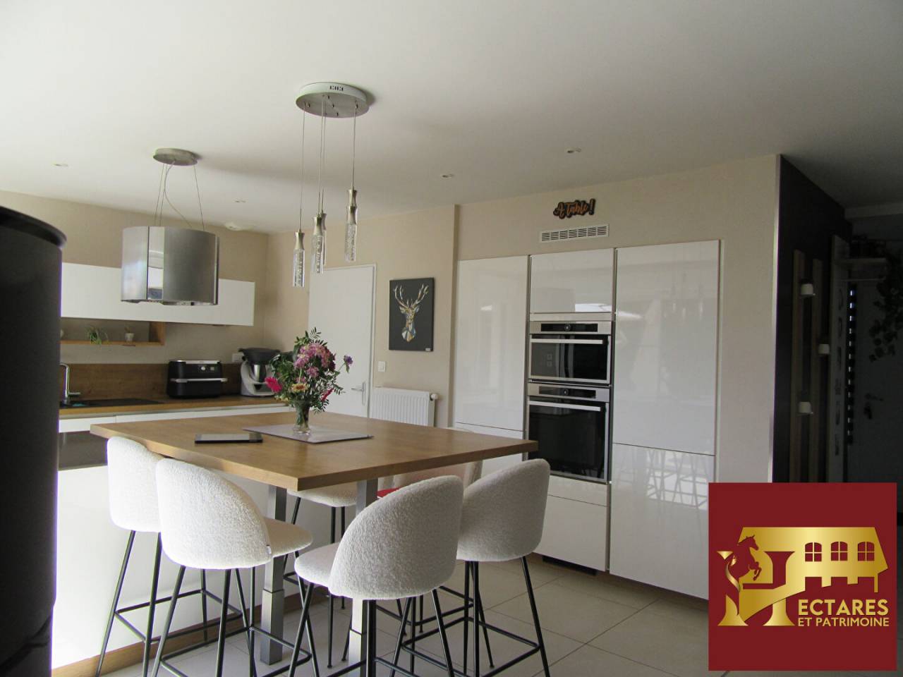 Propiedad ecuestre En venta Paso de Calais