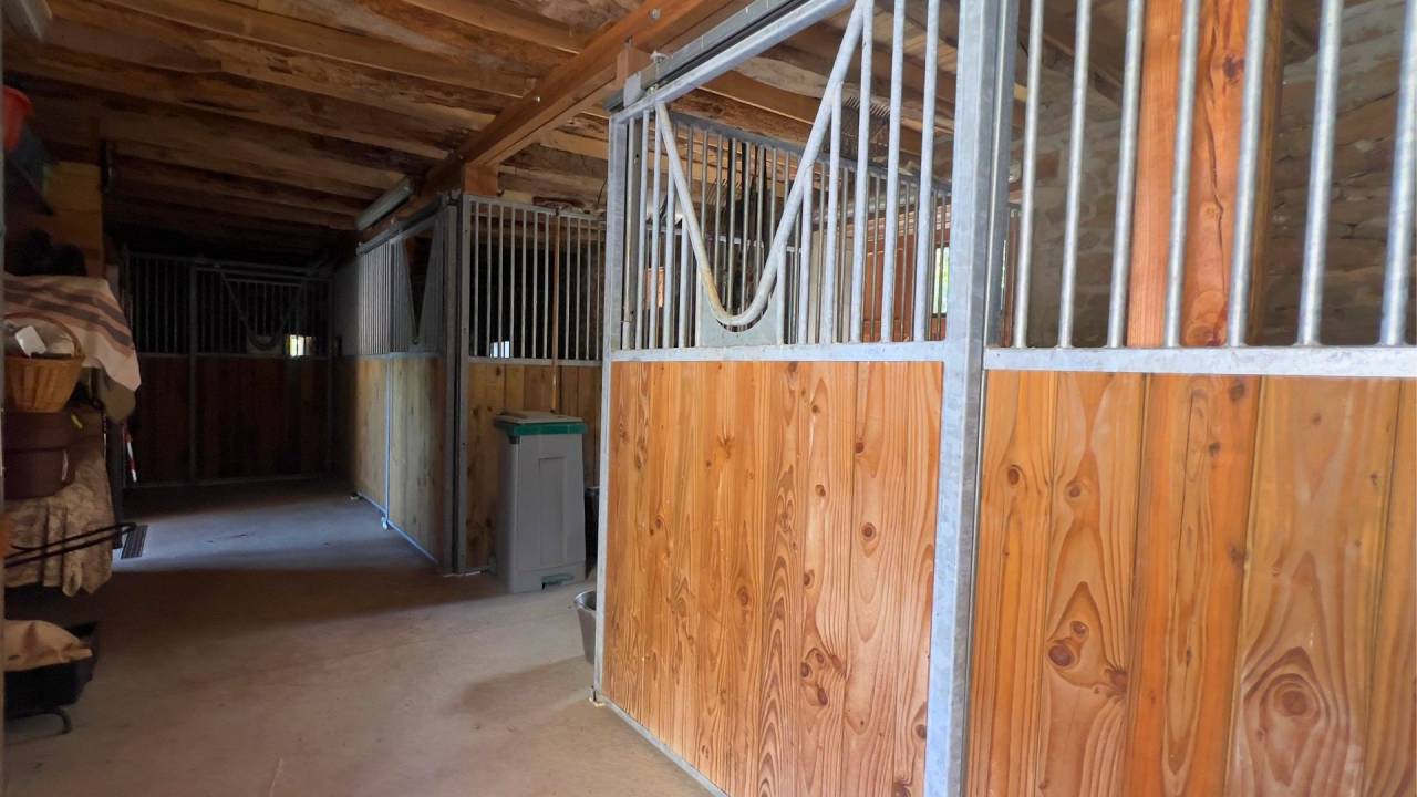 Propiedad ecuestre En venta Lot