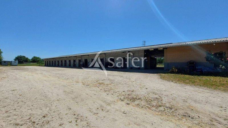 Propiedad ecuestre En venta Gironda