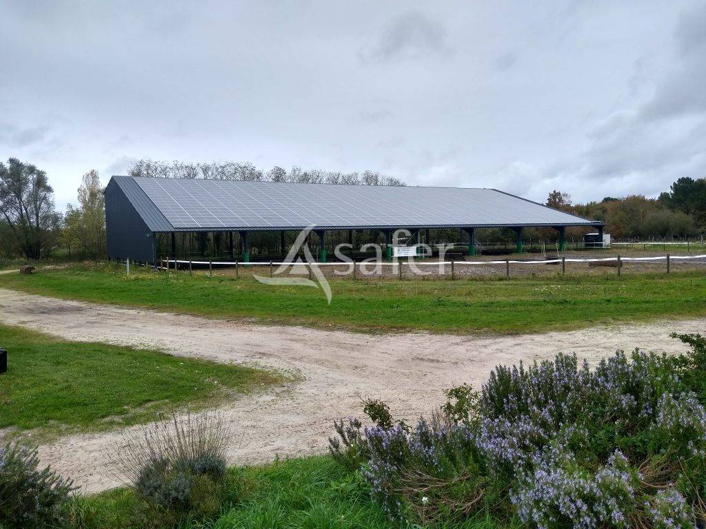 Propiedad ecuestre En venta Gironda