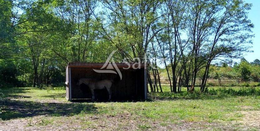 Propiedad ecuestre En venta Gironda