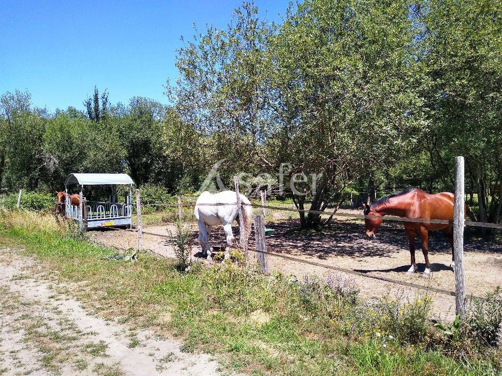 Propiedad ecuestre En venta Gironda