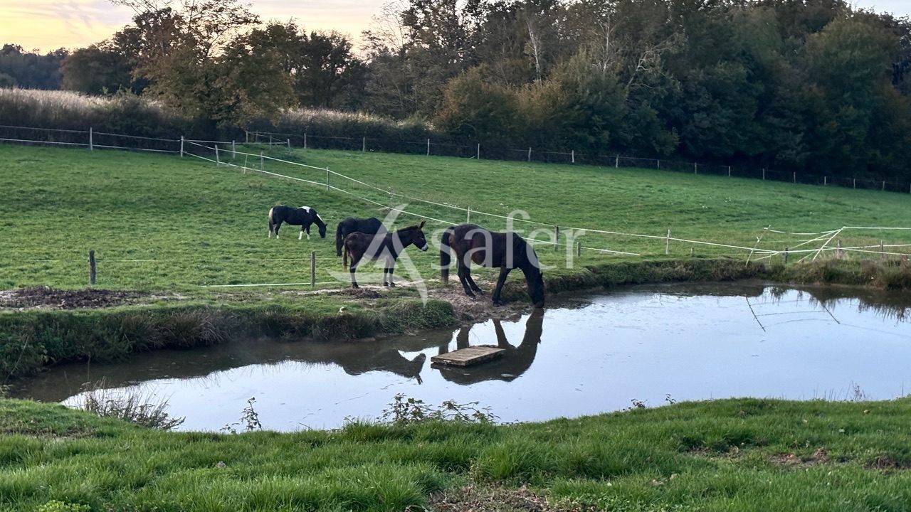 Propiedad ecuestre En venta Saona y Loira