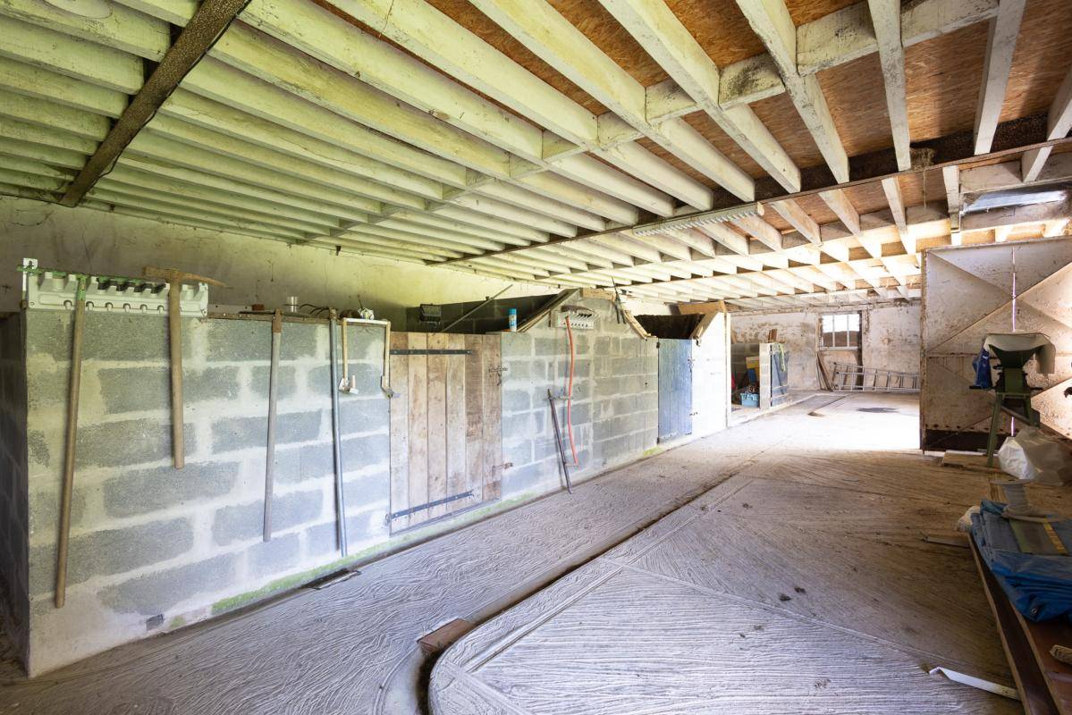 Propiedad ecuestre En venta Mayenne