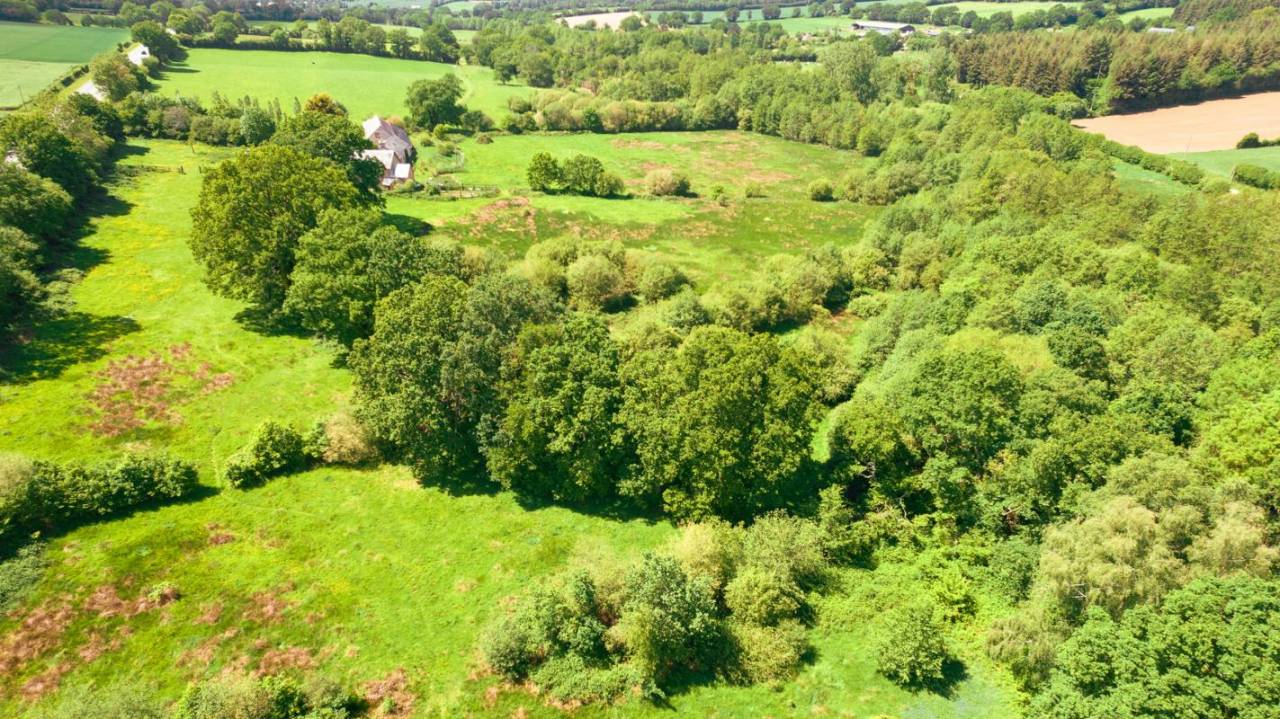 Propiedad ecuestre En venta Mayenne
