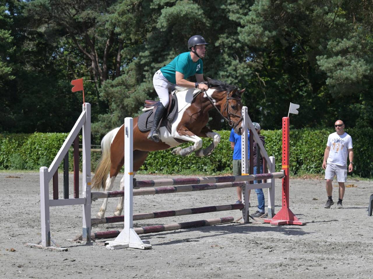 Yegua Zangersheide En venta 2021 P&iacute;o por Offspring van den heuval