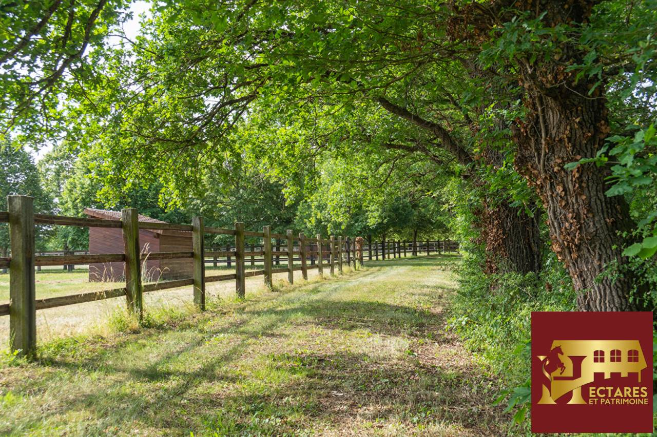 Albergue ecuestre En venta Puy-de-D&ocirc;me