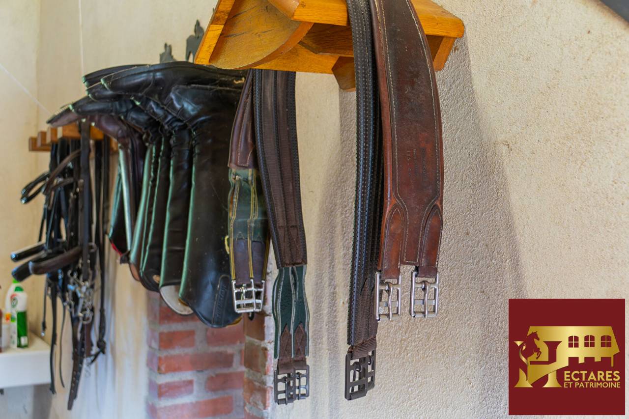 Albergue ecuestre En venta Puy-de-D&ocirc;me