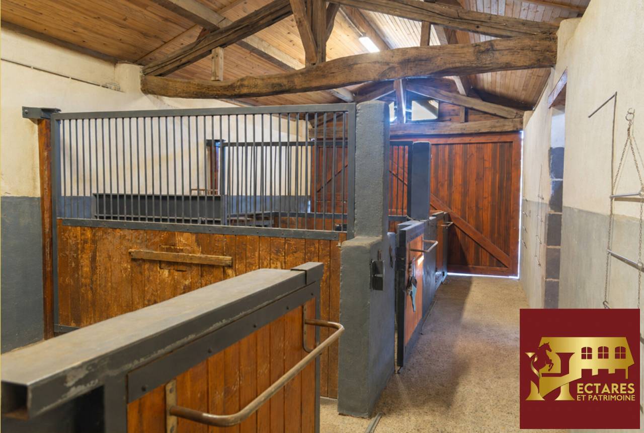 Albergue ecuestre En venta Puy-de-D&ocirc;me