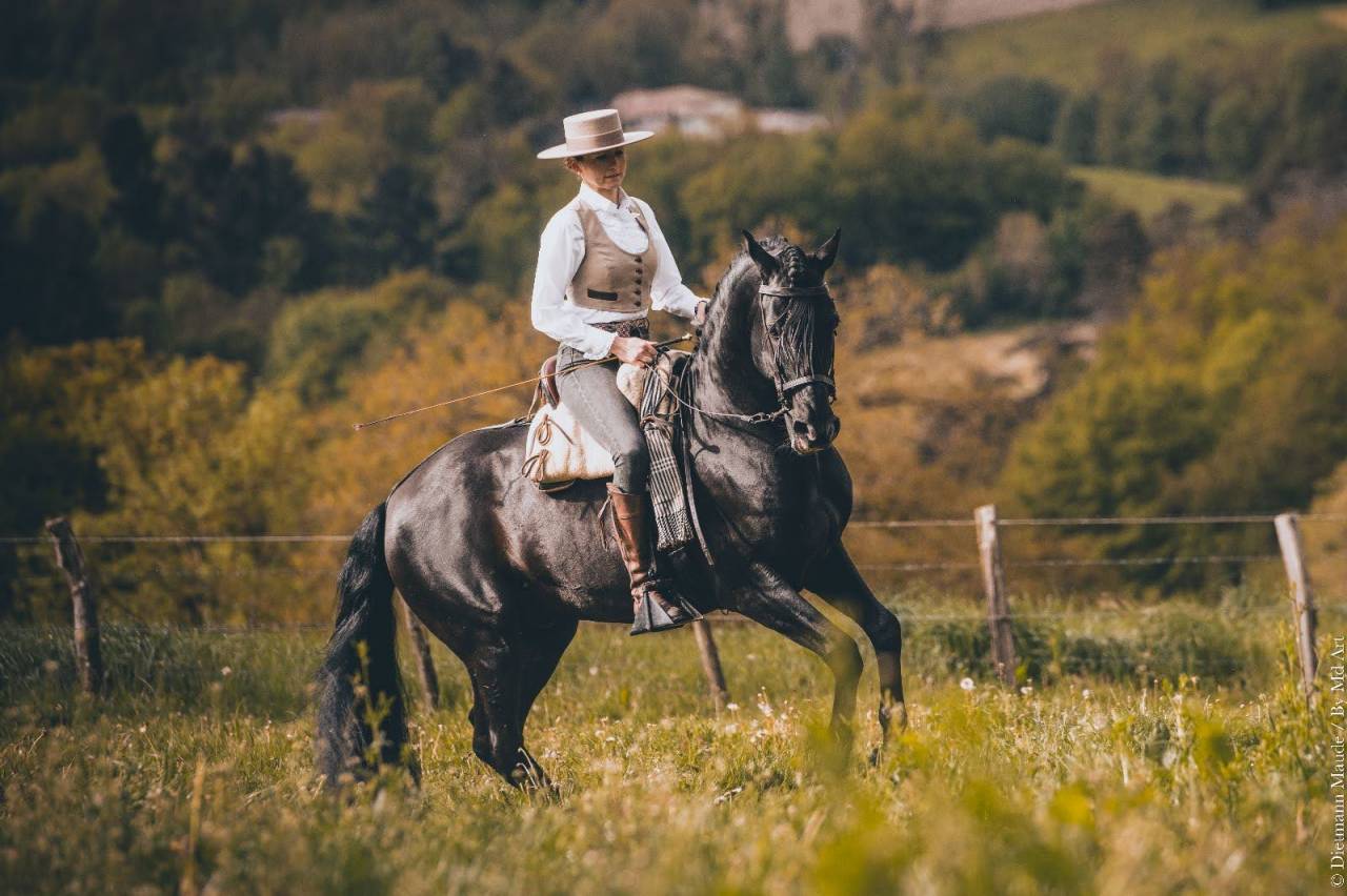 Yegua PRE Pura Raza Espa&ntilde;ola En venta 2017 Negro por TENORIO DE VERLIN