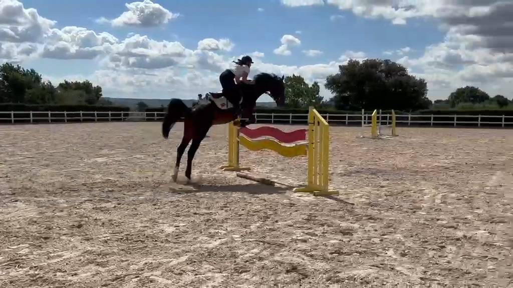 Caballo Joven Gran Potencial