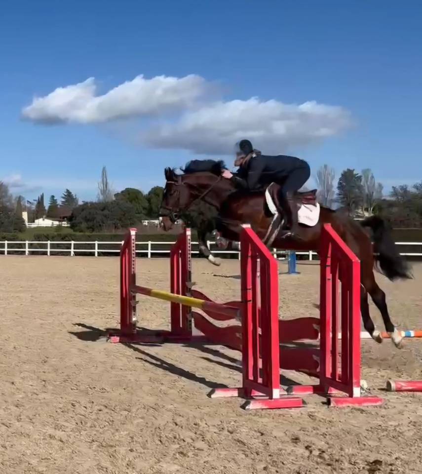 Caballo Joven Gran Potencial