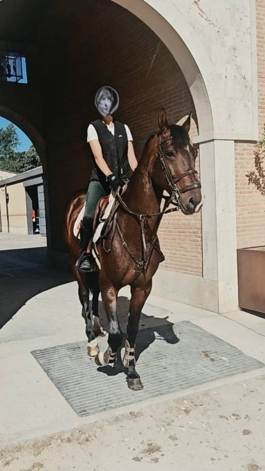Caballo Joven Gran Potencial