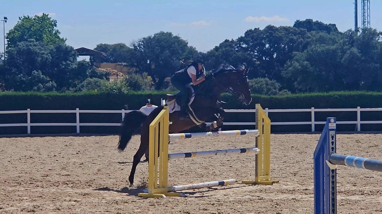 Caballo Joven Gran Potencial