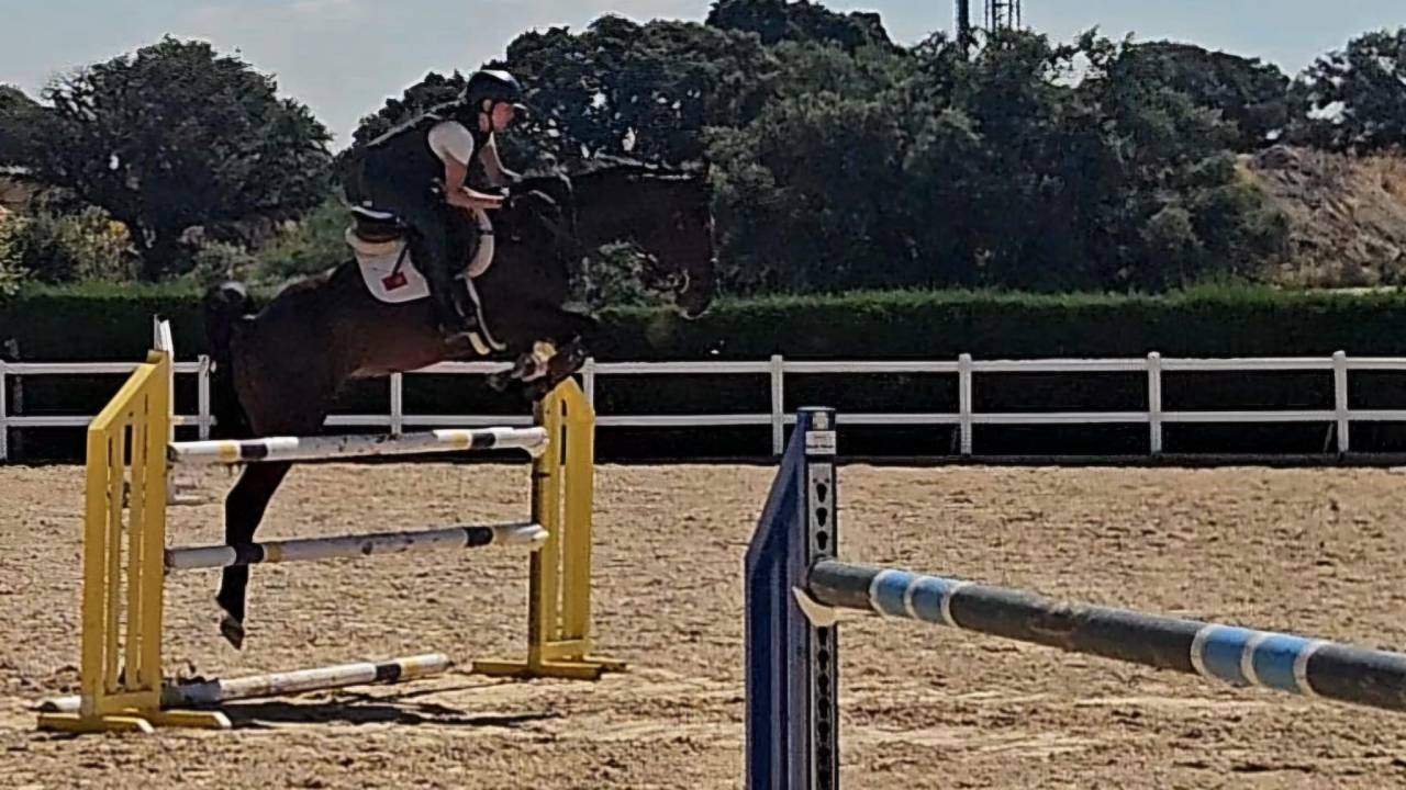 Caballo Joven Gran Potencial
