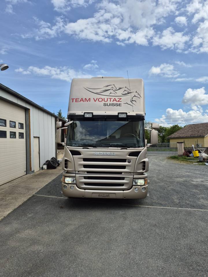 Cami&oacute;n para caballos Ketterer SCANIA P400 KETTERER 2012 De segunda mano