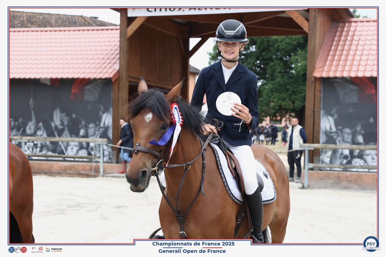 Yegua PFS Poni Fran&ccedil;&eacute;s de Silla En venta 2017 Bayo