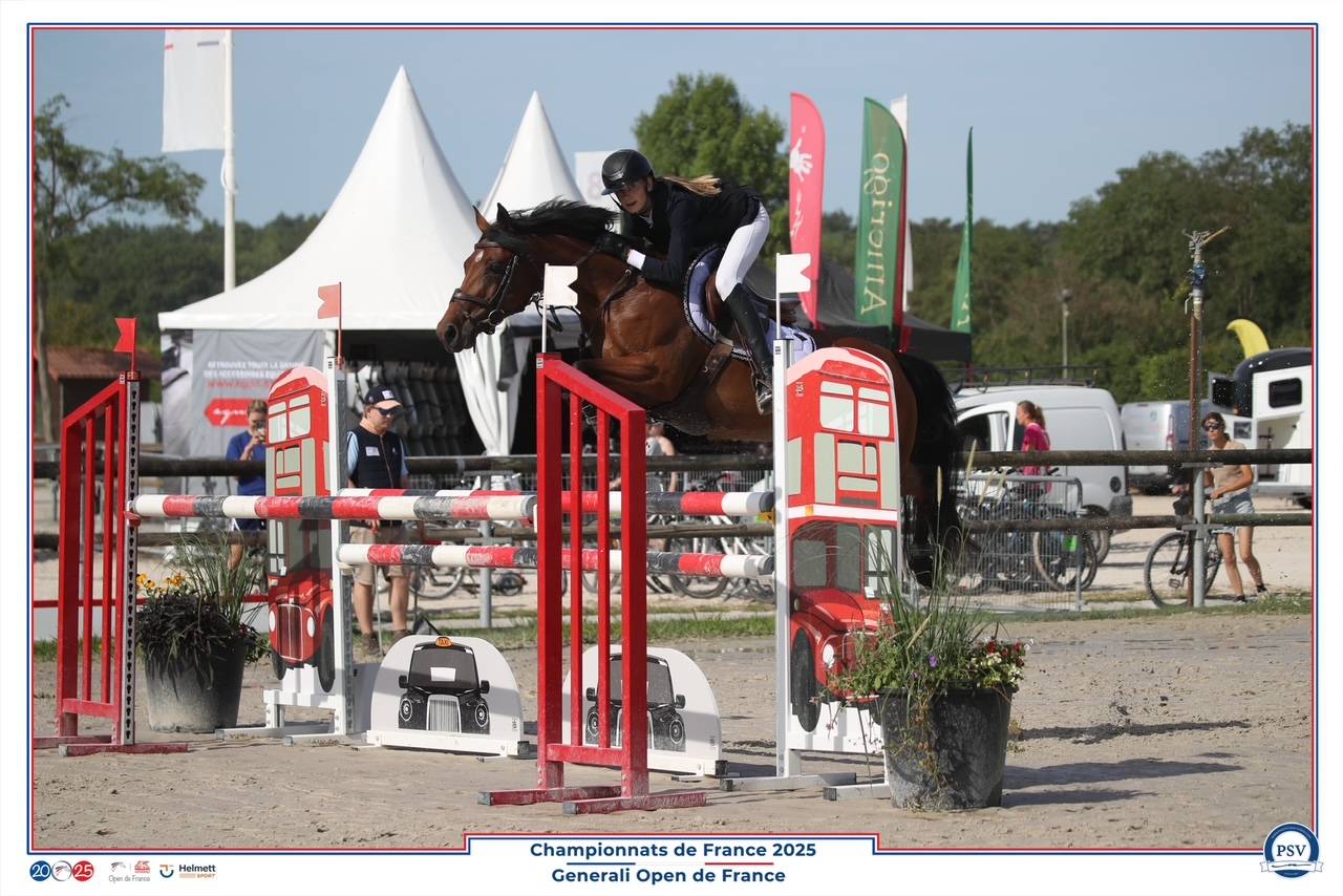 Yegua PFS Poni Fran&ccedil;&eacute;s de Silla En venta 2017 Bayo