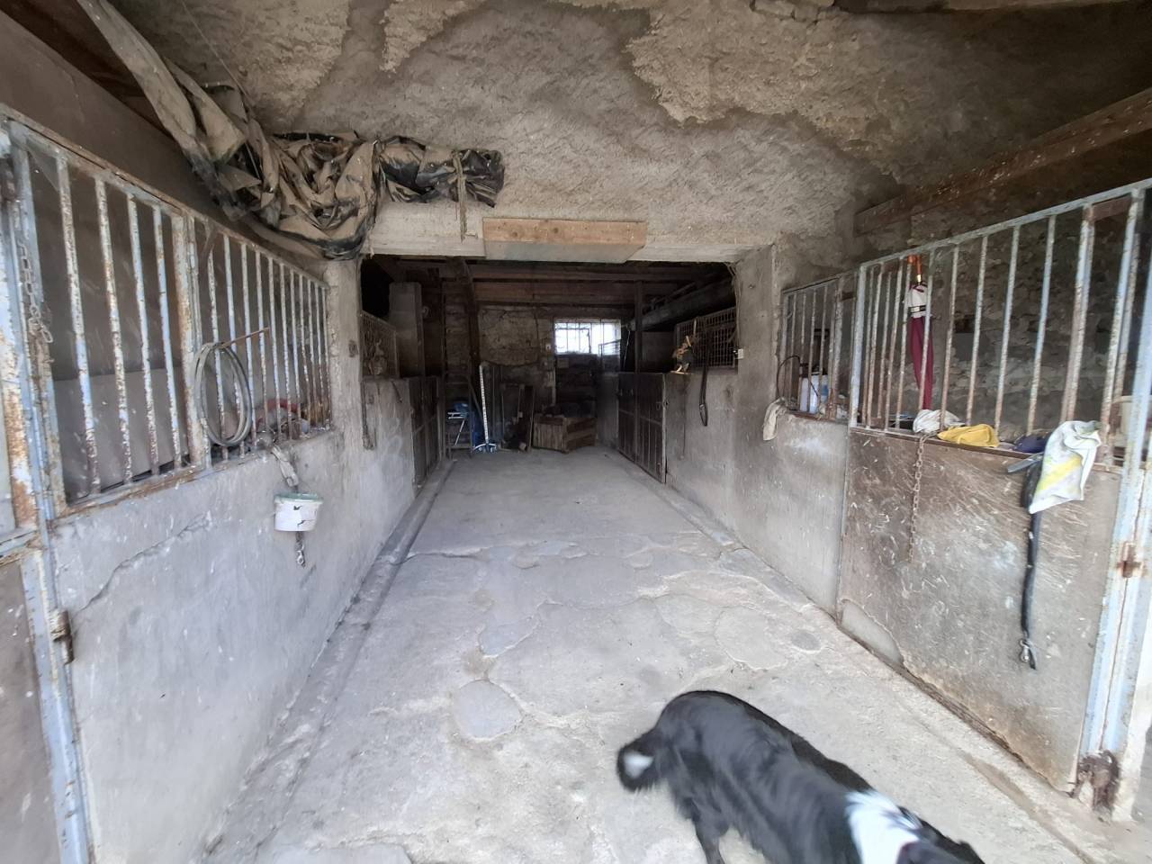 Propiedad ecuestre En venta Cher