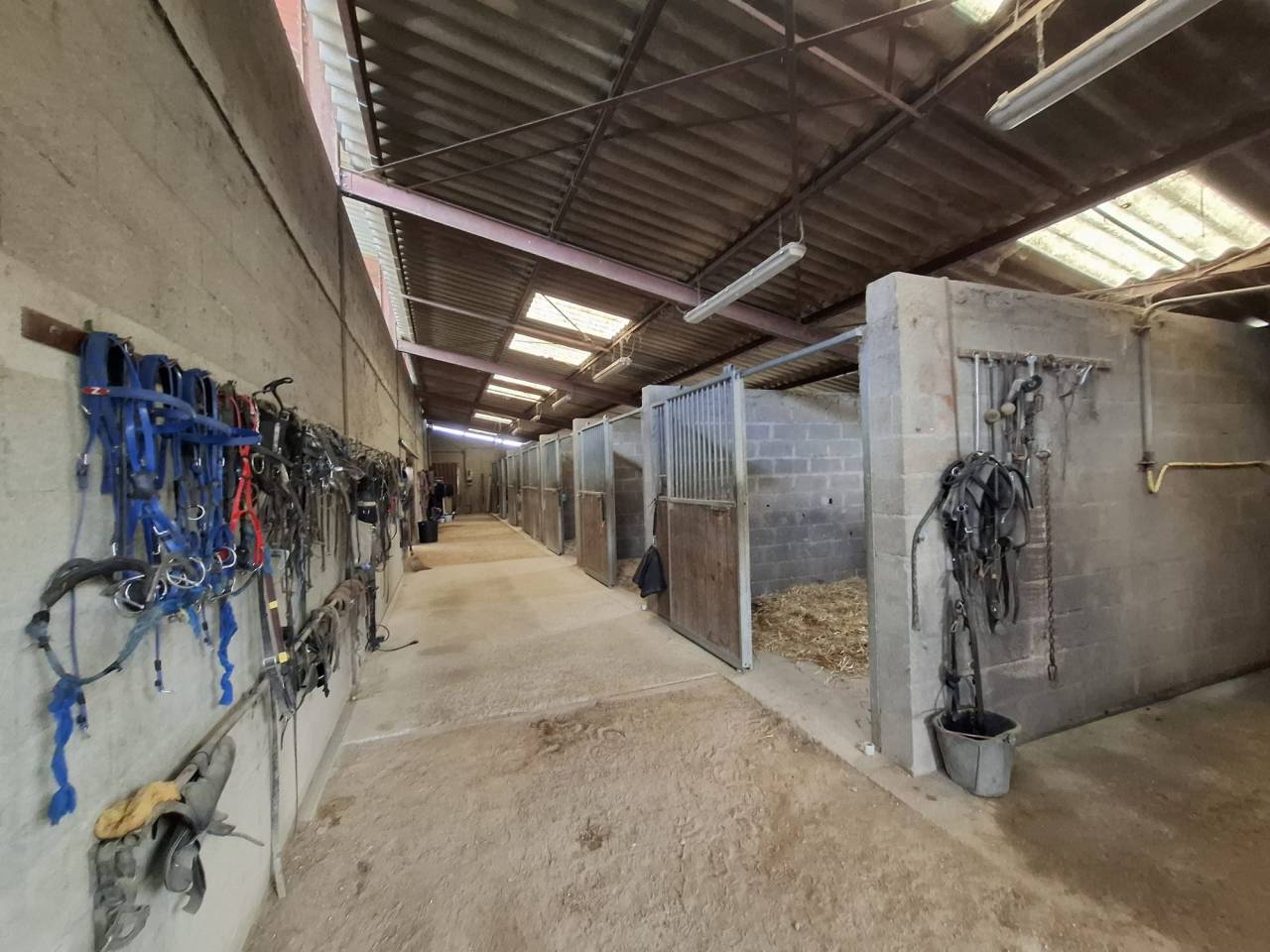 Propiedad ecuestre En venta Cher