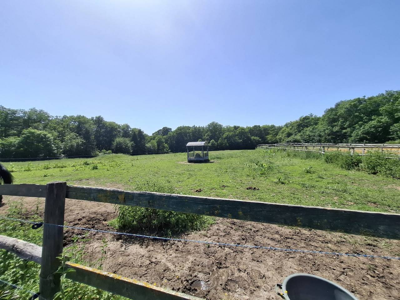 Albergue ecuestre En venta Loir y Cher