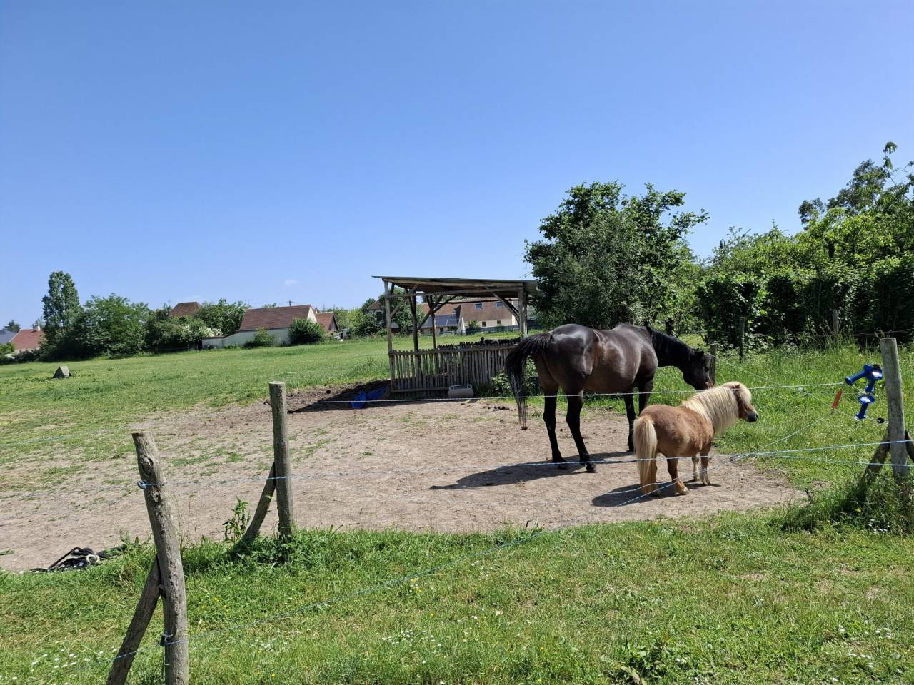 Albergue ecuestre En venta Loir y Cher