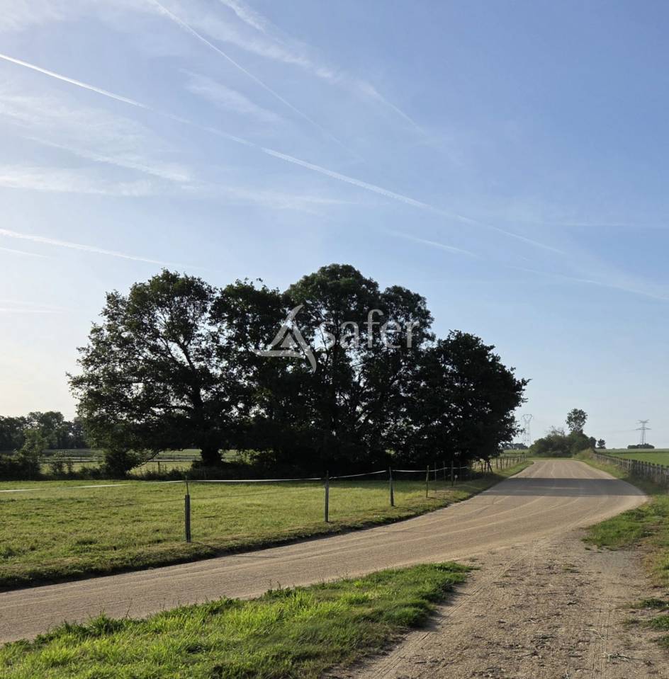 Propiedad ecuestre En venta Vend&eacute;e